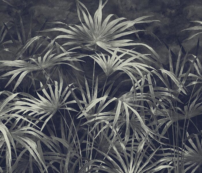 Undergrowth-ACG 24