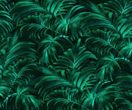 Tappezzeria Wallpepper Ecosostenibile Palme