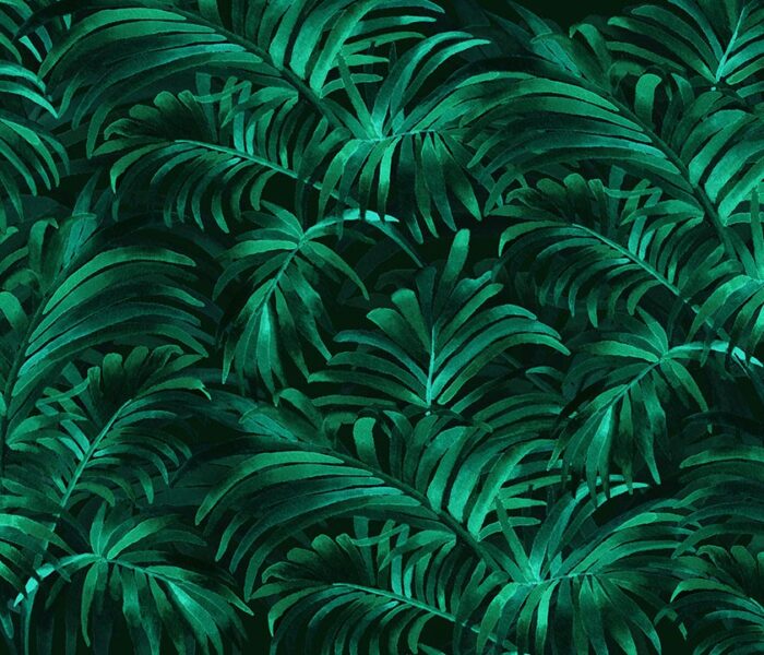 Palm Plethora-AO 08