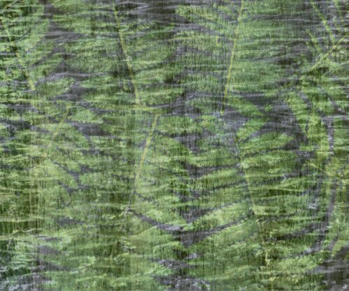 Carta Parati Wallpepper Verde