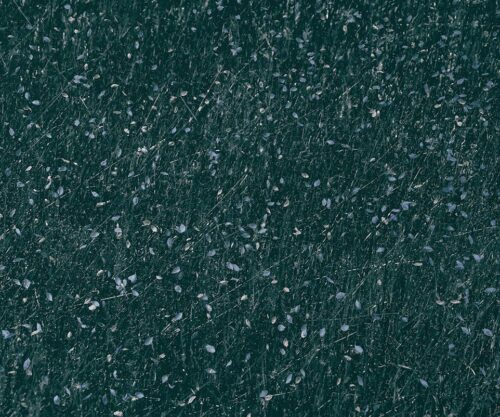 Carta Parati Wallpepper Petals