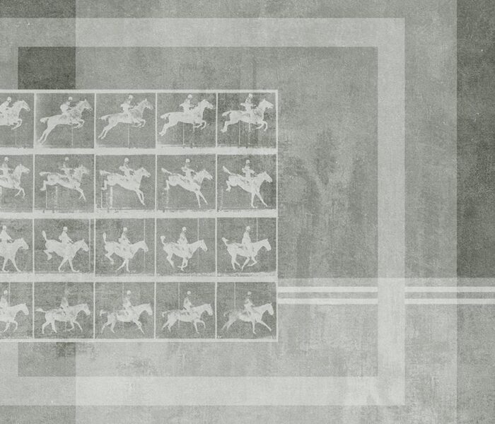 BJH-WP 44
