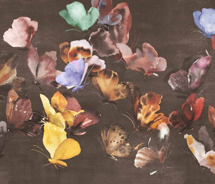 Butterflower-ACG 41