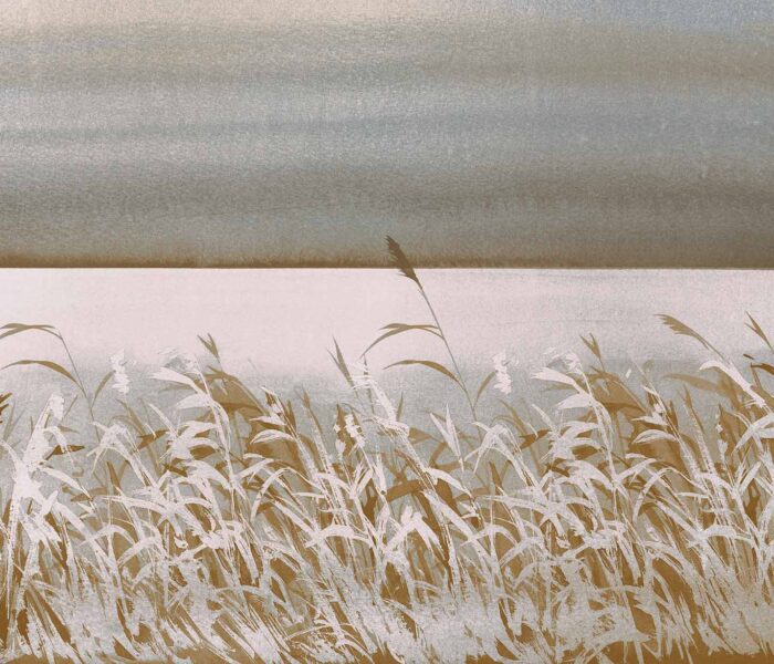 Whisper-ACG 46