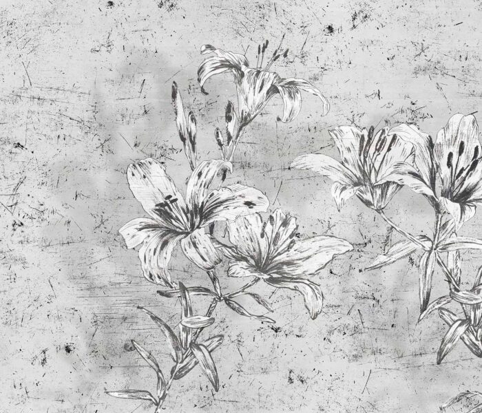 Lily-ACG 47