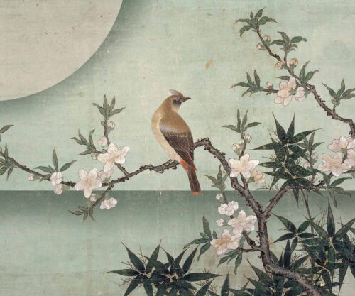 Carta Parati Wallpepper Bird