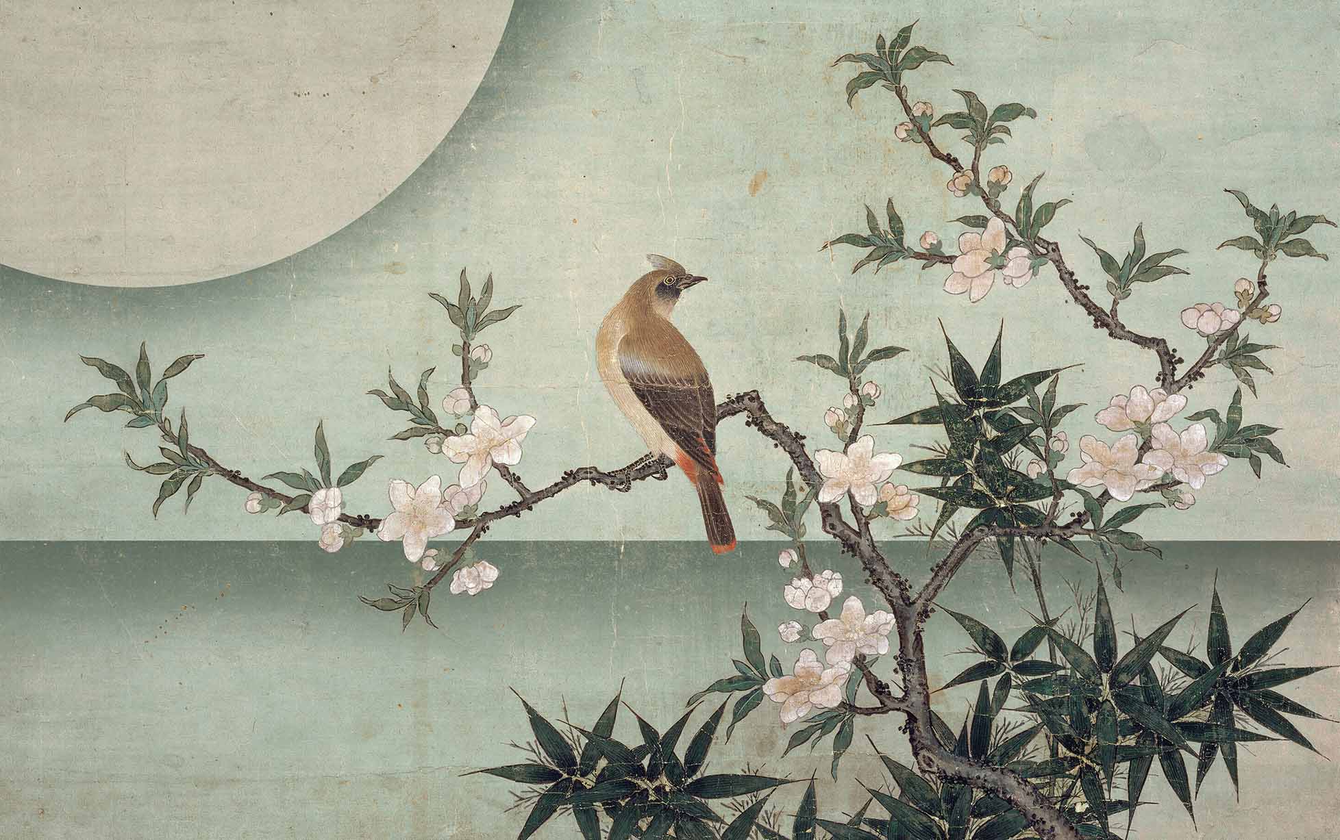 Bird on peach blossom, c.1550-60 (watercolour on paper) Carta parati Wallpepper Bird