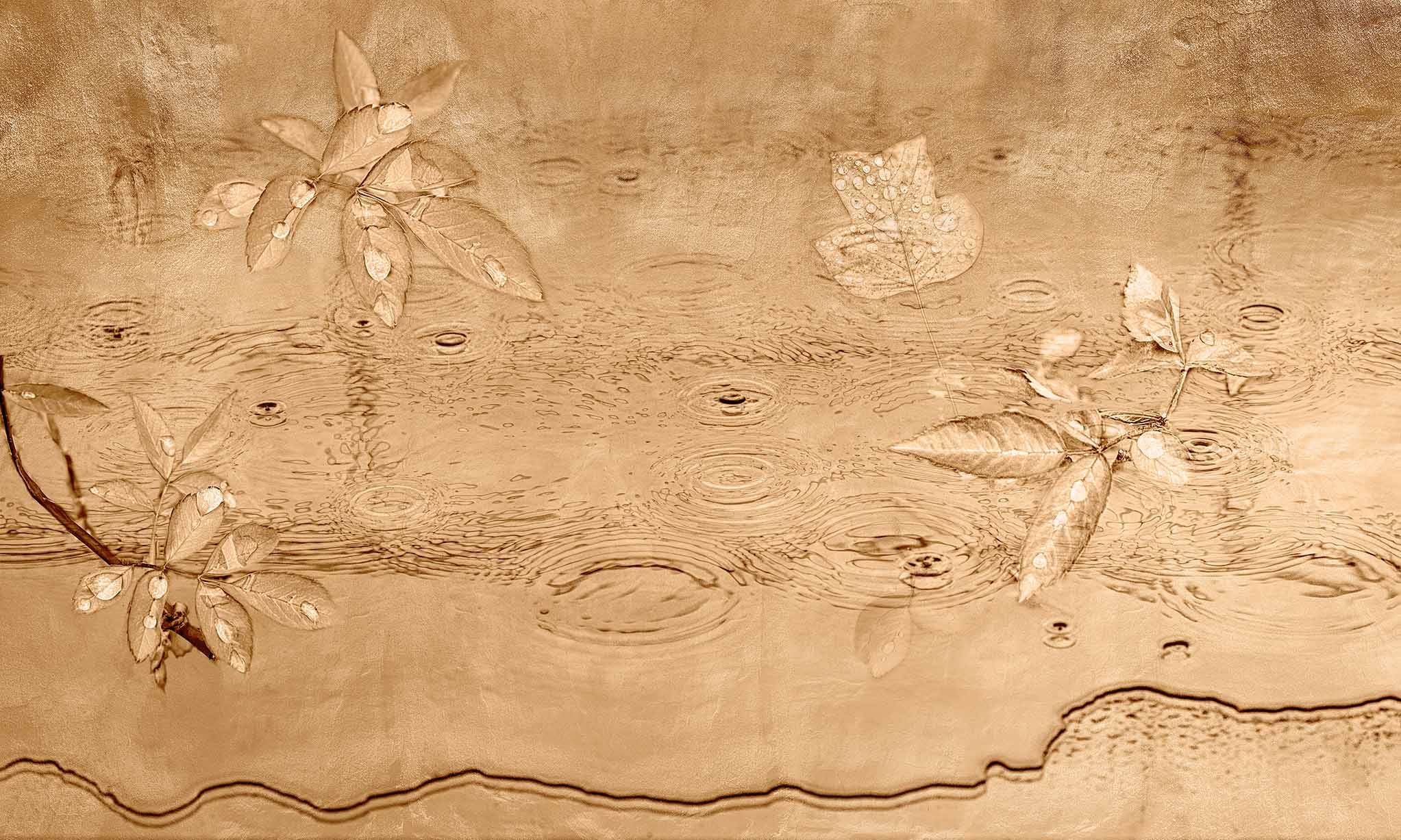 cadoro-carte da parati-2022-wallpaper-wallpepper-LS-27-A DROPS DANCE Carta parati Wallpepper design