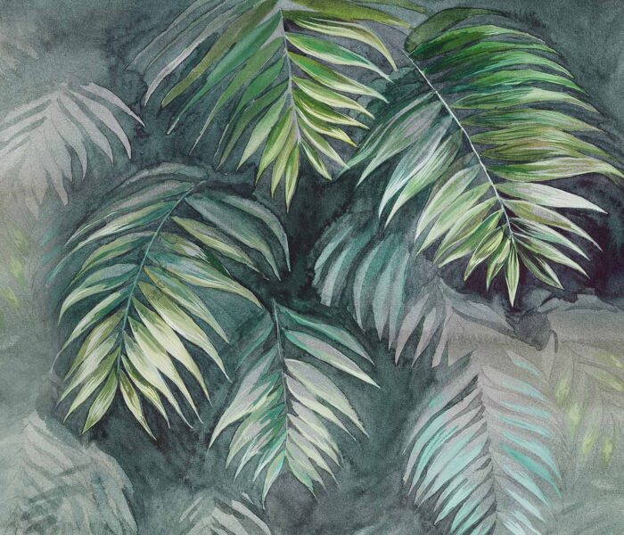 Areca Deep-MD 09