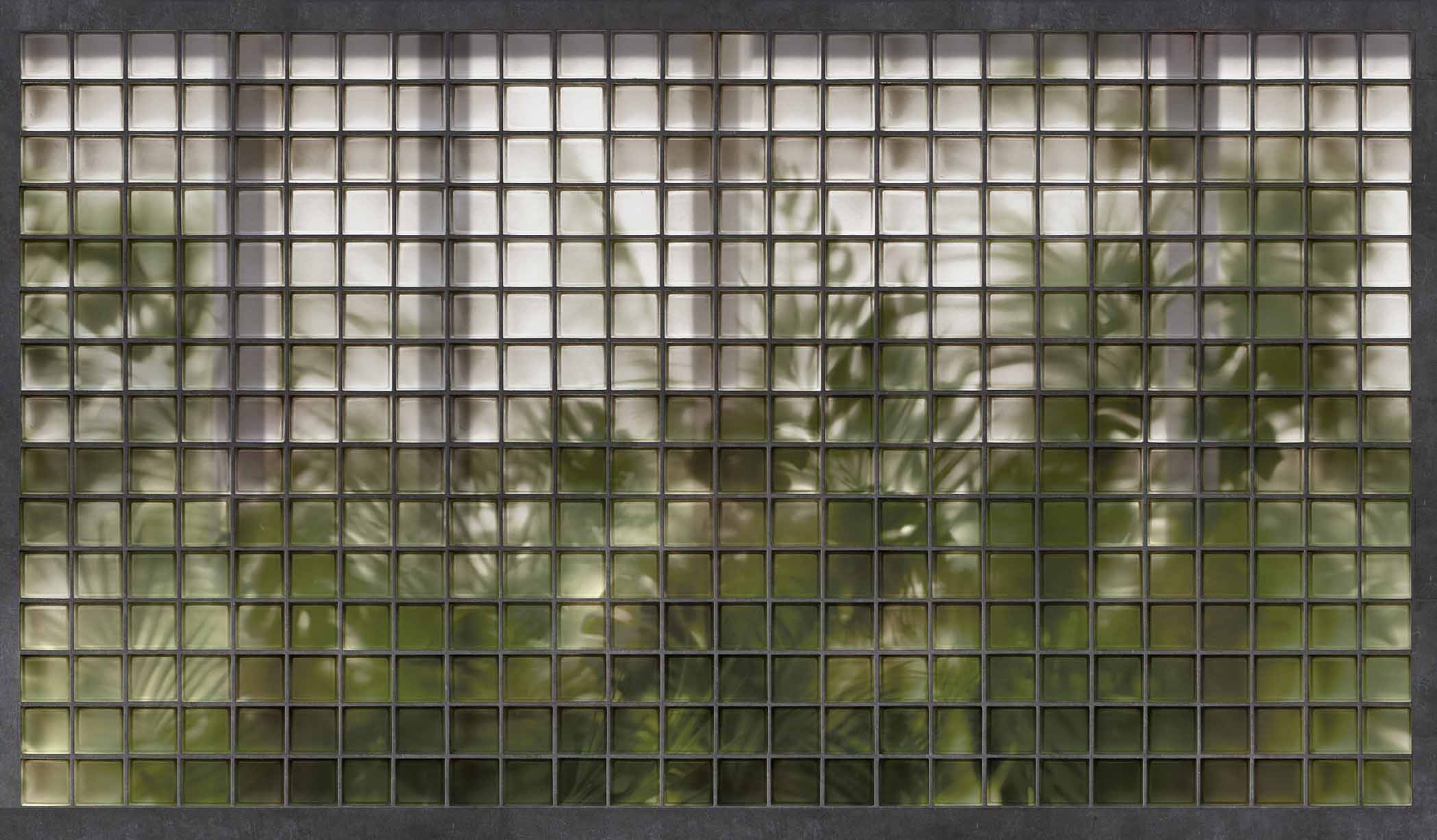 cadoro-carte da parati-2022-wallpaper-wallpepper-WP-75-A Disincanto Carta parati Wallpepper serra