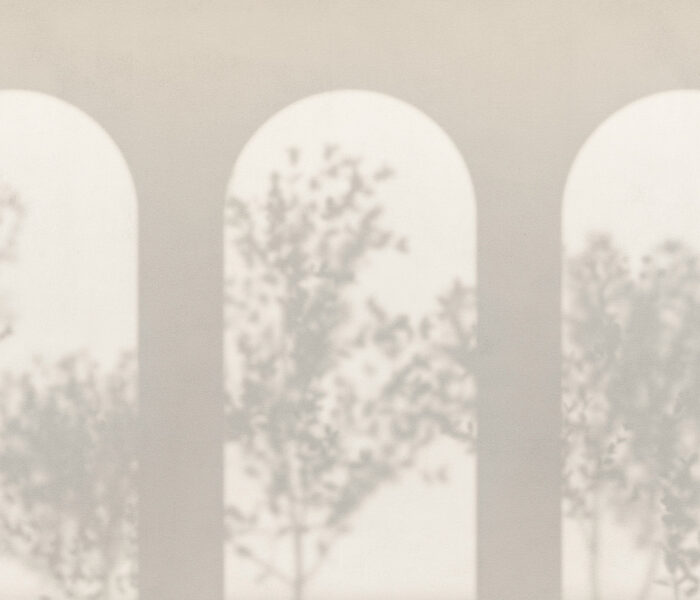 Ombre Mediterranee-LP 01