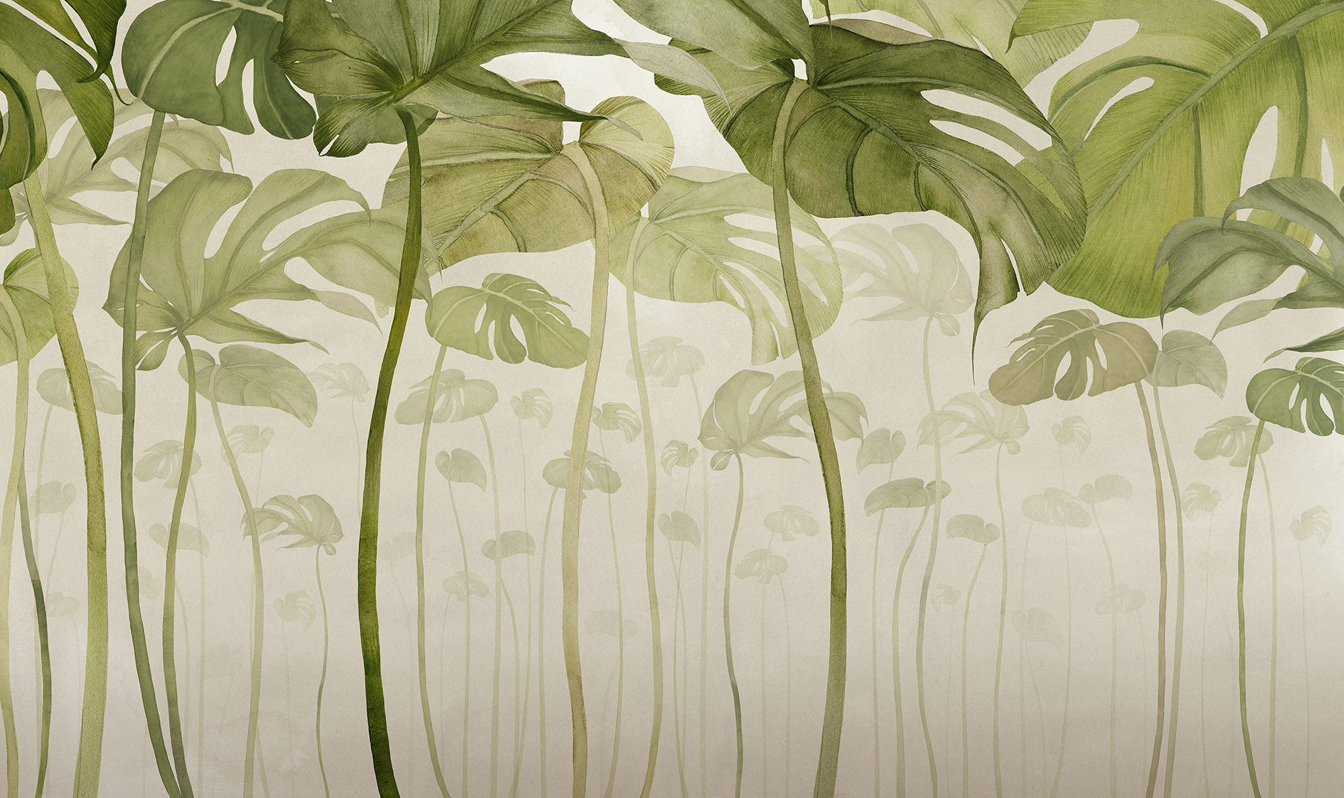 cadoro-carte da parati-2023-wallpaper-wallpepper-WP-83-A-Monstera Carta da parati ecofriendly Milano