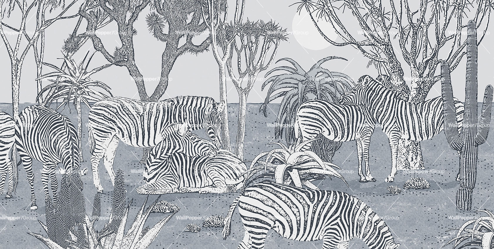 Cadoro-Carte-da-parati-2024-Wallpaper-Wallpepper-Mirage-ACG-56-A