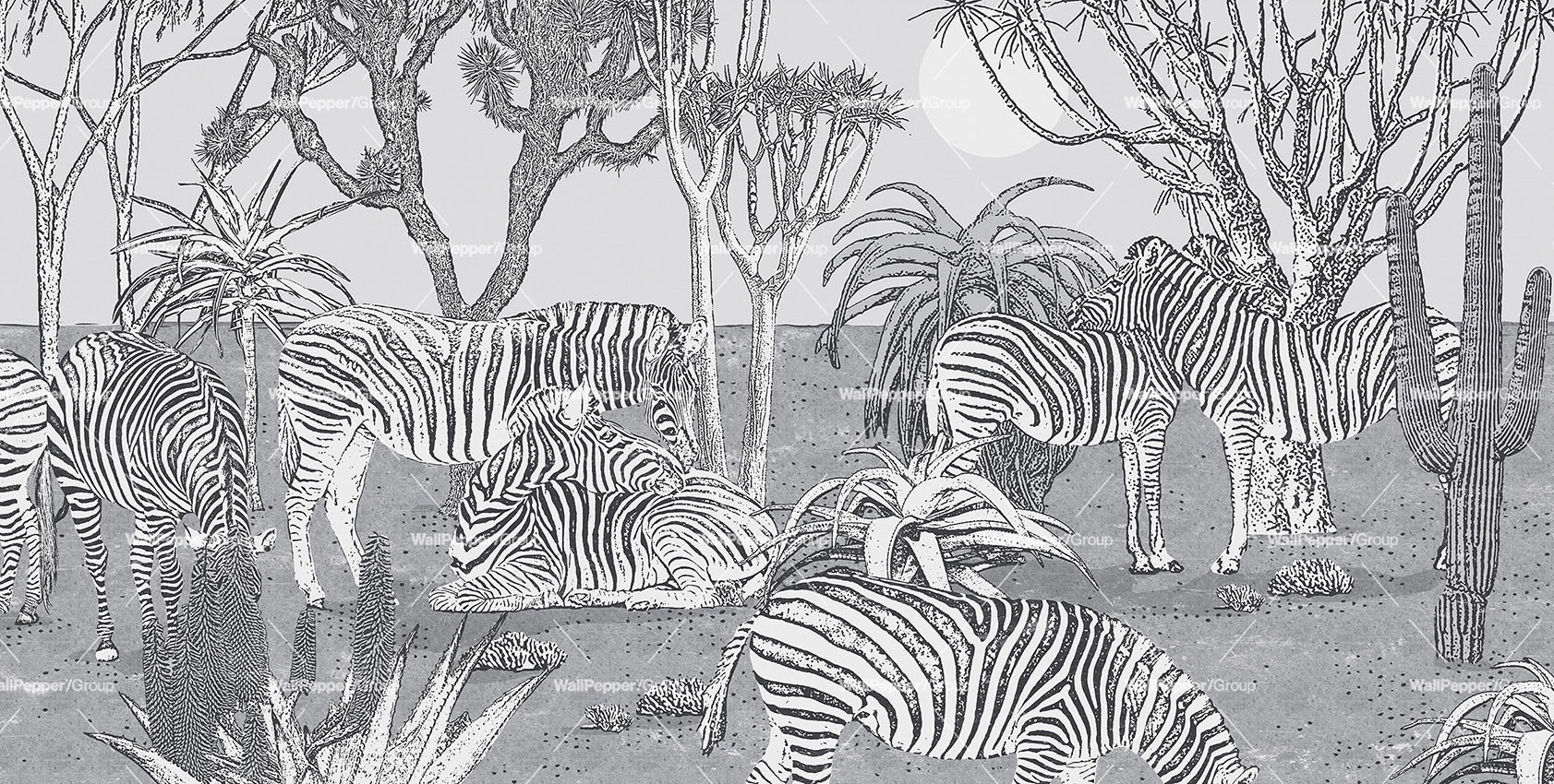 Cadoro-Carte-da-parati-2024-Wallpaper-Wallpepper-Mirage-ACG-56-B