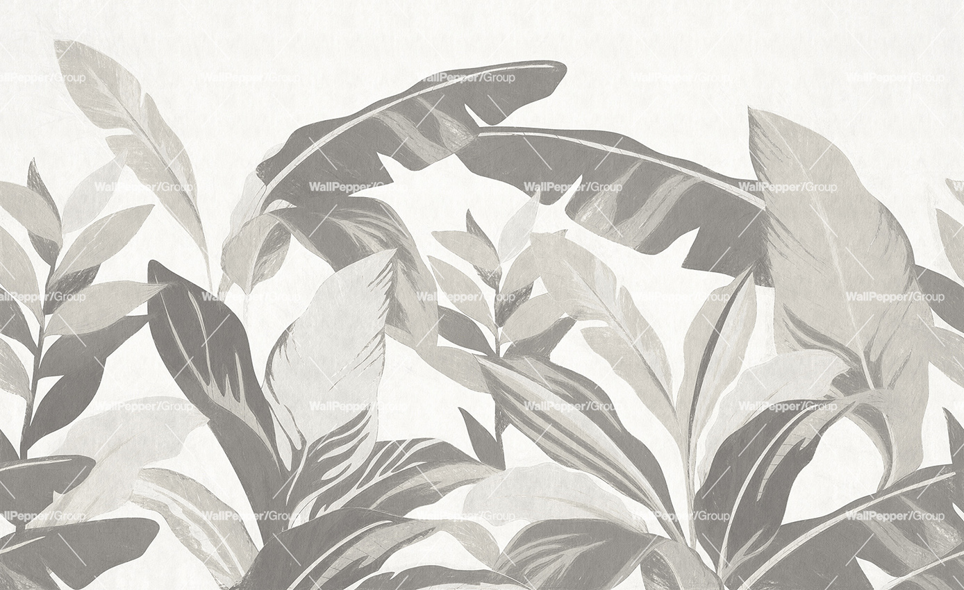 Cadoro-Carte-da-parati-2024-Wallpaper-Wallpepper-Paloma-WP-122-B